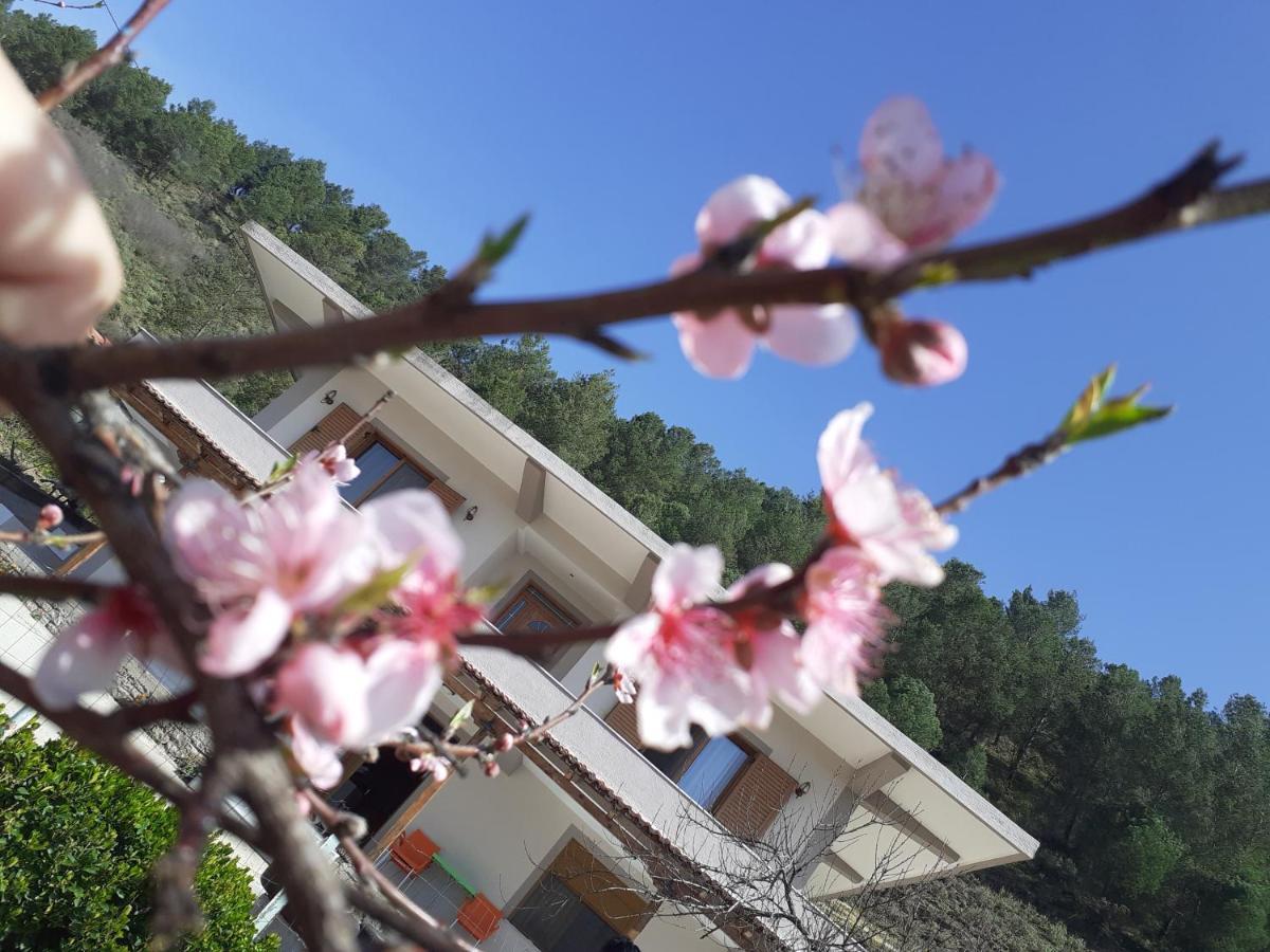 Kanushi House Gjirokastër Buitenkant foto